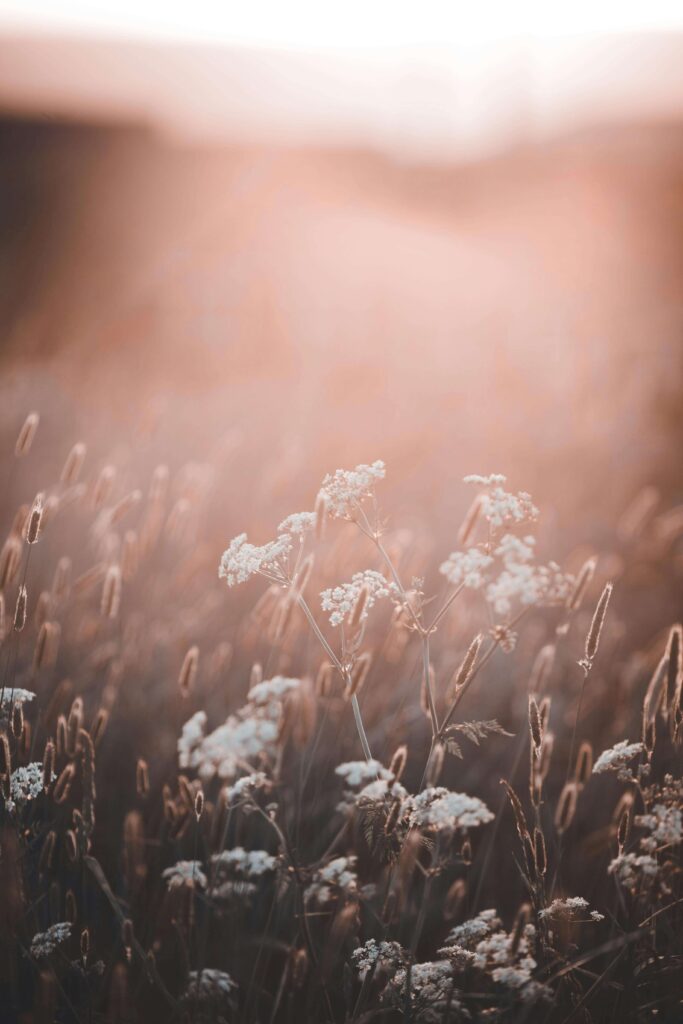 Sun is going down on summer as school begins.