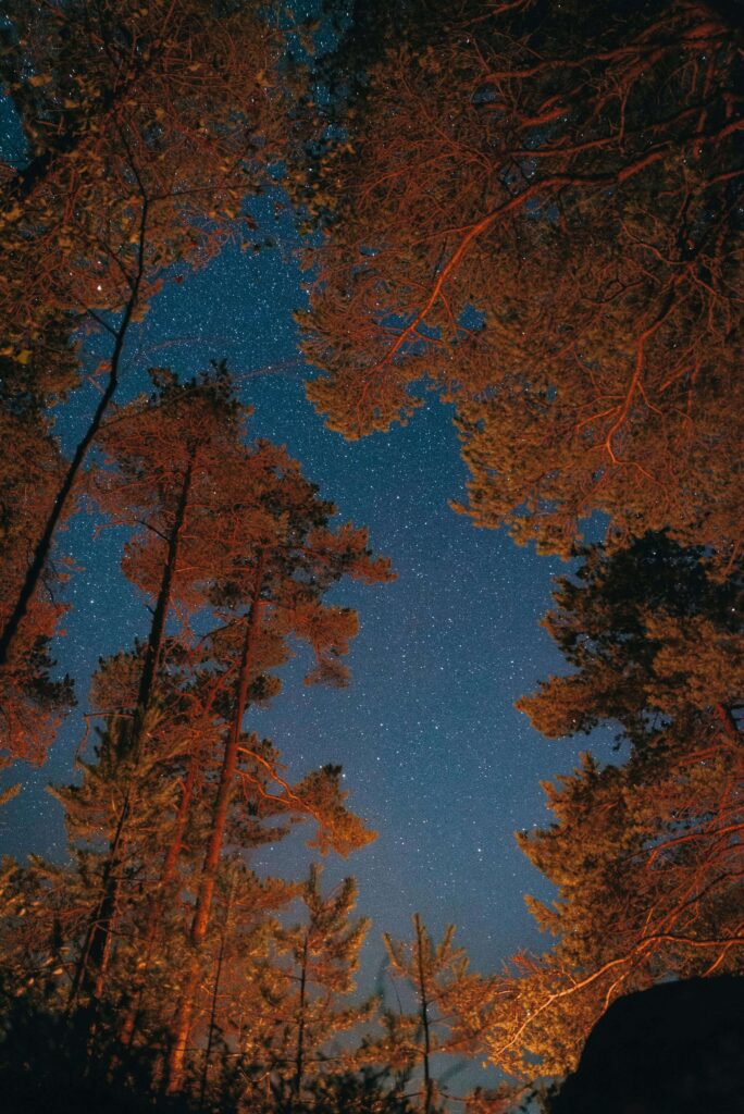 Take time to stargaze this fall.