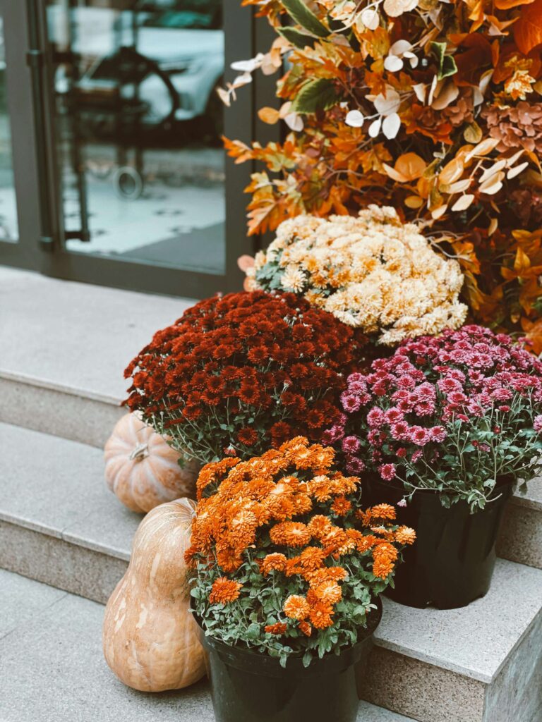 Fall Bucket List
