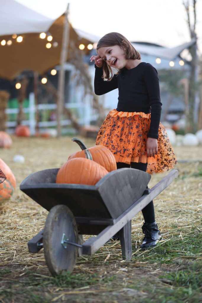 Fall Bucket List