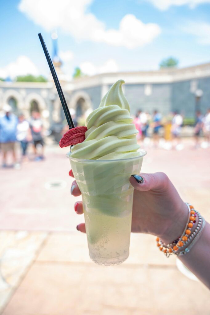 Disney World Bucket List