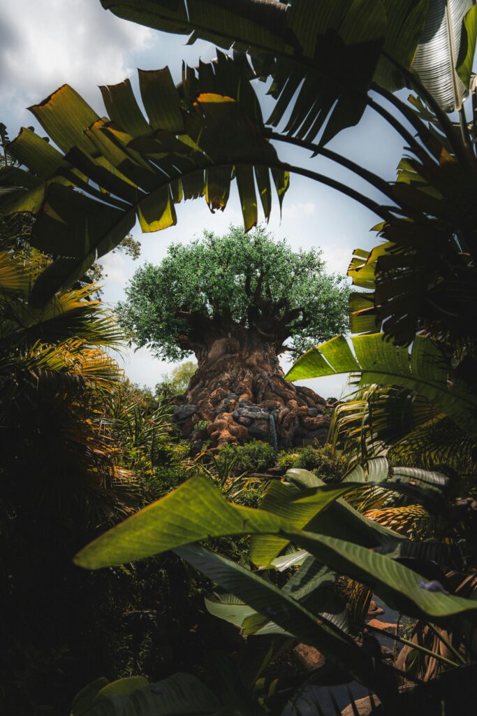 Animal Kingdom